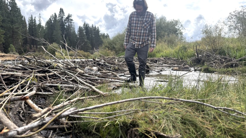 the baffin enduro is built for rugged use, but manages to keep the...