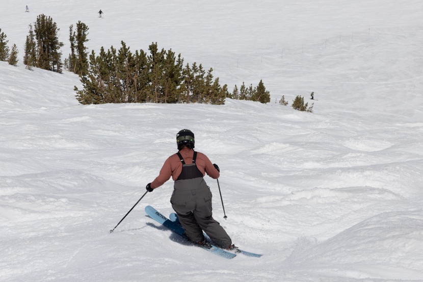 faction dancer 2 - this is a pretty ideal entry-level bumps ski.