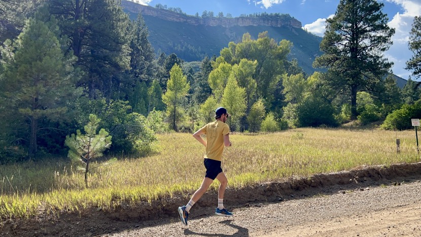 nike pegasus trail 5