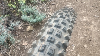 Lead photo for Schwalbe Albert RADIAL Trail Pro