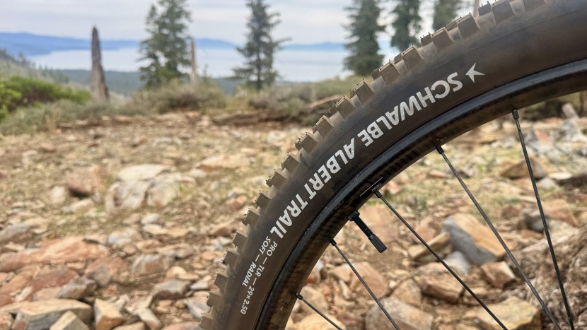 schwalbe albert radial trail pro - the soft compound gives ample grip without throwing too much of the...