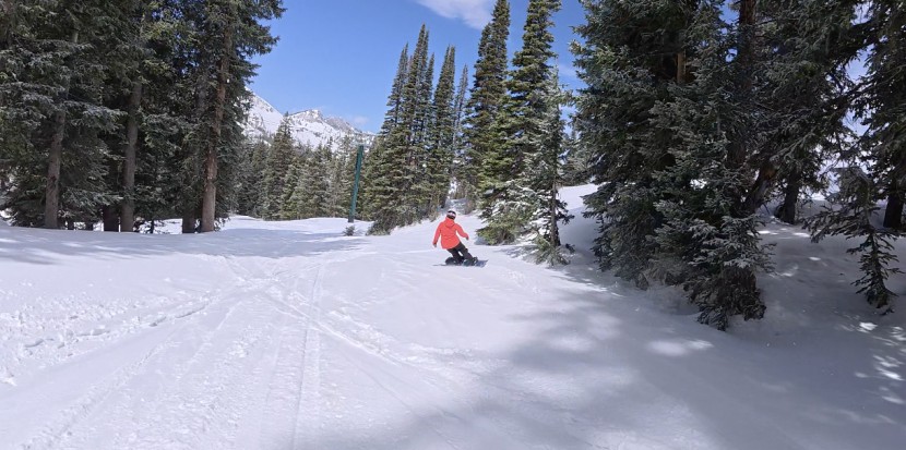 snowboard womens - the jones howler carries you across varied terrain while still...