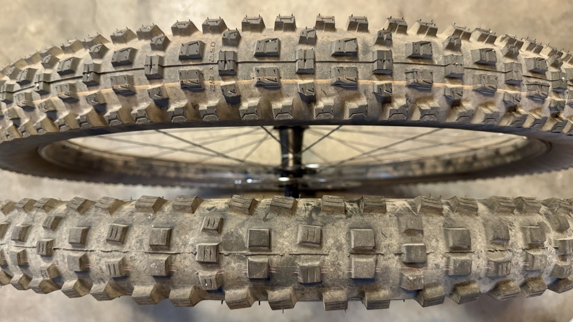 schwalbe albert radial trail pro - the albert is on top, and the magic mary is below.