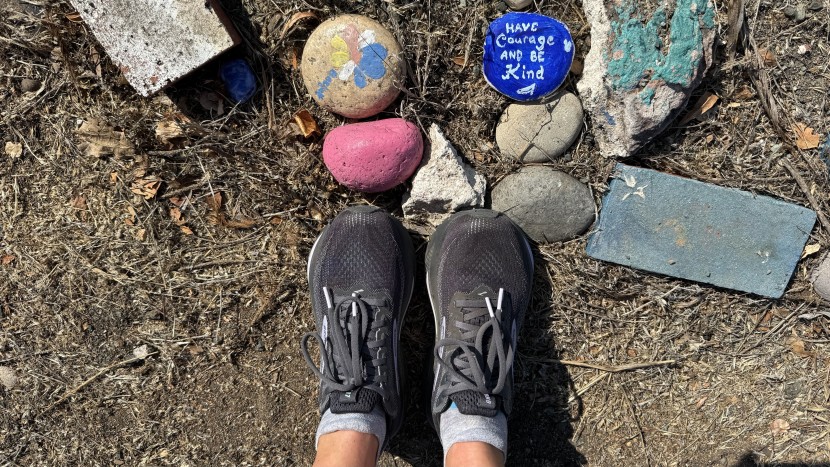 brooks ghost 17 for women - this everyday shoe shines in its simplicity, giving runners a...