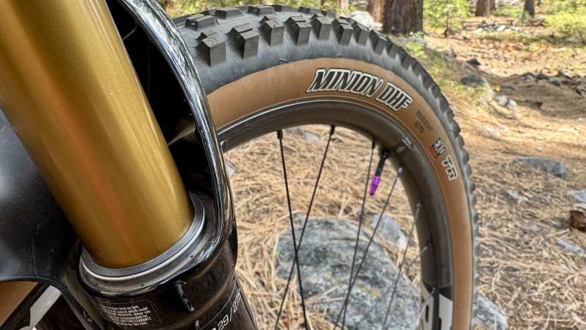 mountain bike tires - the minion dhf is a favorite that doesn't need to be relegated to...