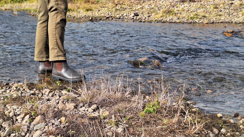 blundstone original chelsea - exploring some local rivers won't be hampered when you're wearing...