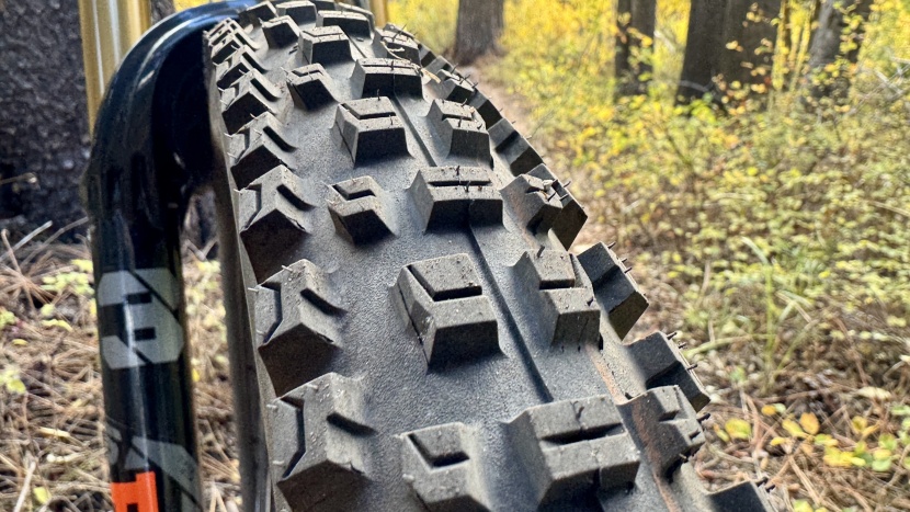 mountain bike tires - the albert's shoulder lugs have less slant than the aggressive magic...