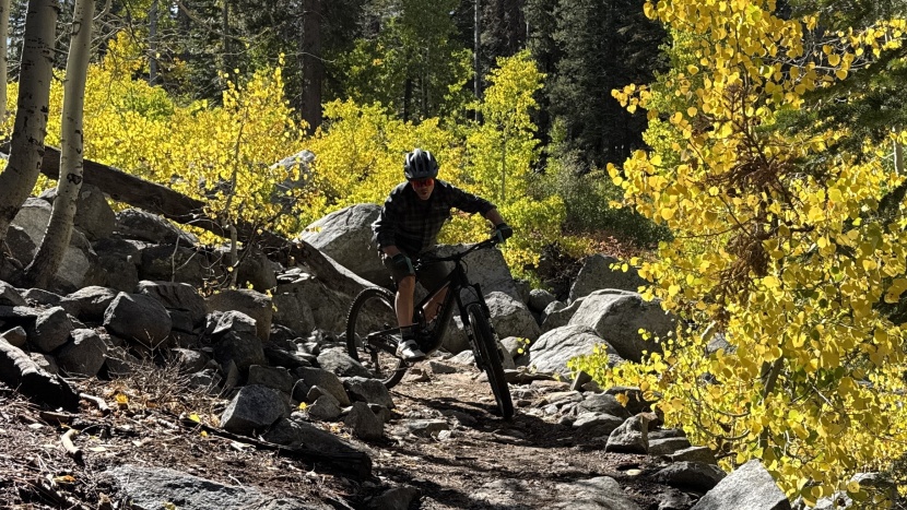 schwalbe albert radial trail pro - the albert is smooth rolling and, while not exactly lightweight, it...