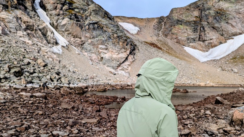 softshell jacket womens - features like elastic cuffs, a highly adjustable hood, and...