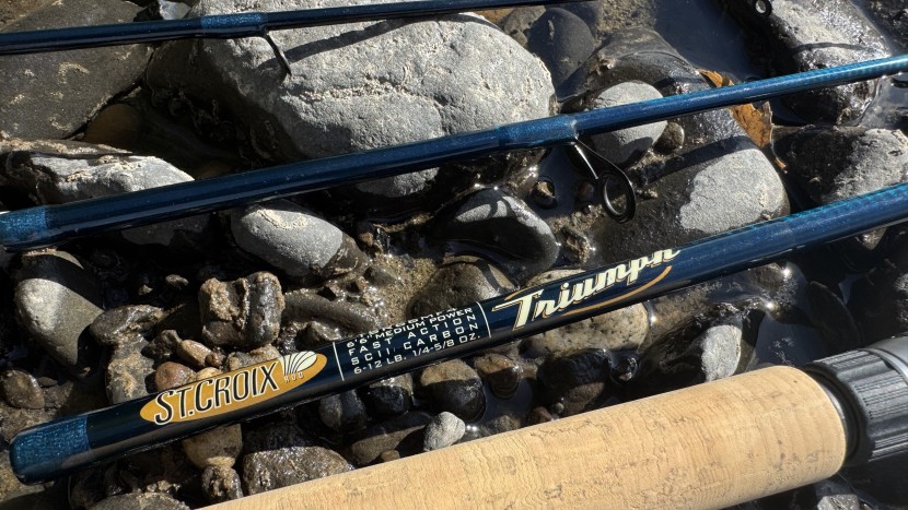 despite four sections, the triumph still delivers a crisp fast...