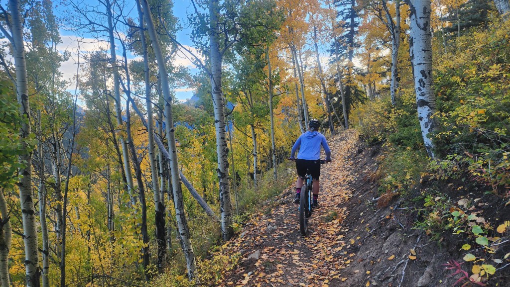 endura fs260 dropseat bib shorts for women - long rides of all kinds were comfortable in the endura dropseat bibs.
