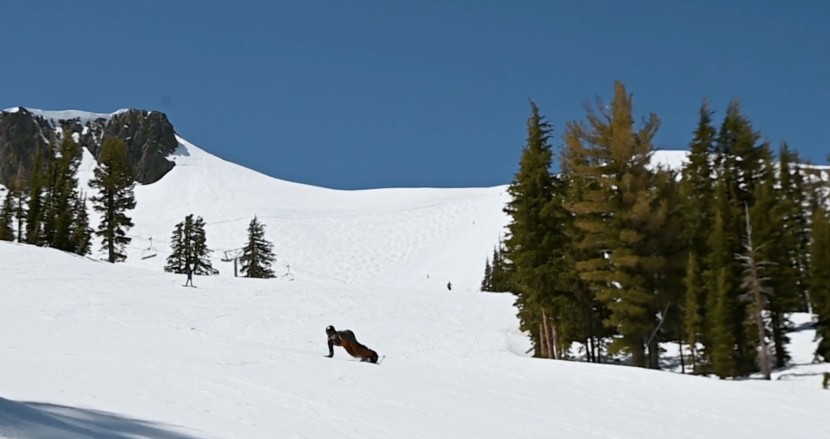 the jones howler loves to be on edge