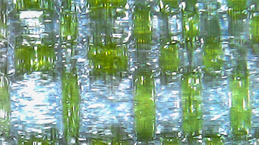 a closeup of the poly-nylon ripstop fabric of the tent's fly.