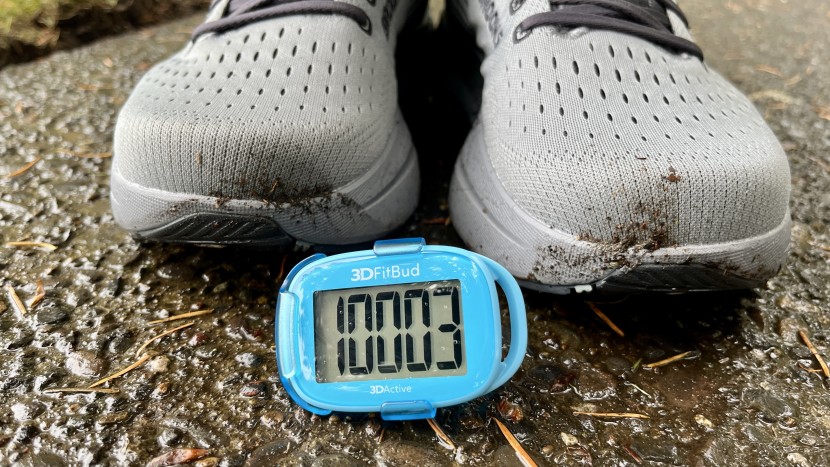 brooks ghost max 3 - we put over 10,000 steps in these shoes, and they remained cozy and...