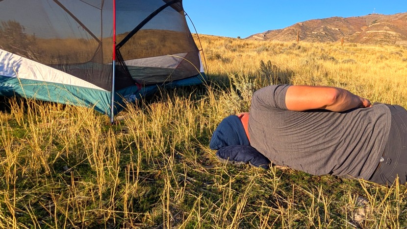 this pillow is super comfortable, but it can compress and lose loft...