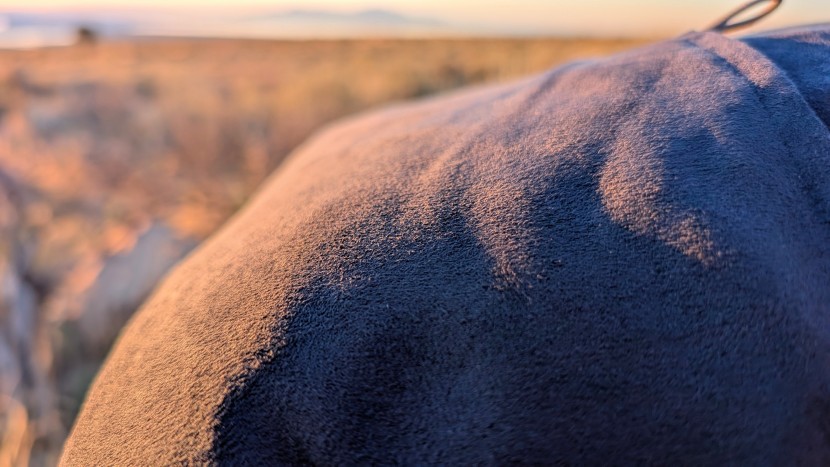 the exterior fabric is soft and pleasant, but it could use just a...