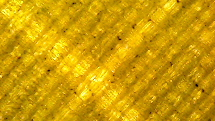 seen under a microscope, the hood/footbox appears to have what...