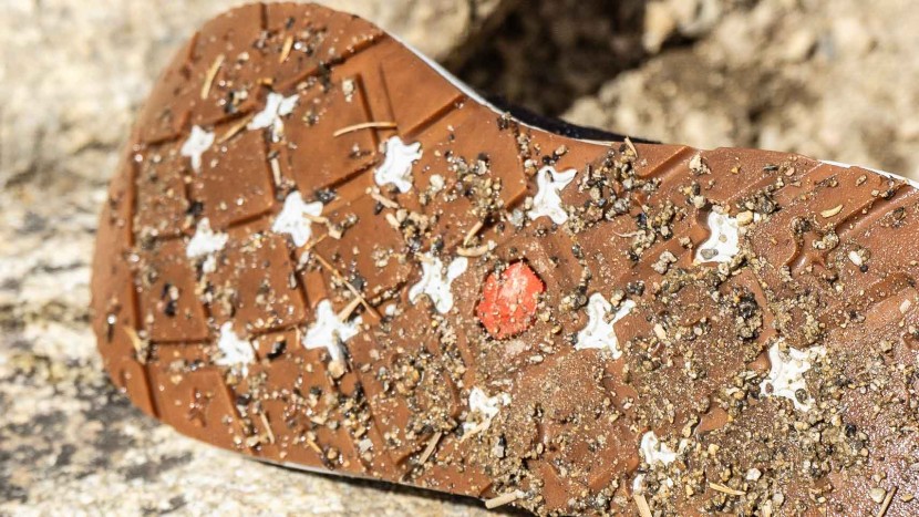 astral brewer 3.0 - the thicker soles of the brewer make them quite a bit less sensitive...