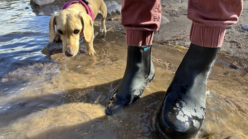the blundstone thermal chelsea is by far the most versatile rain...