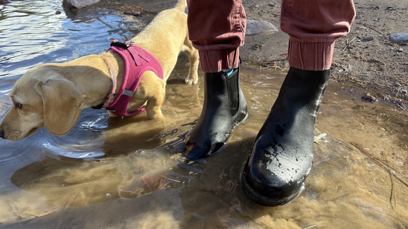 ankle boots like the blundstone chelsea thermals and the xtratuf...