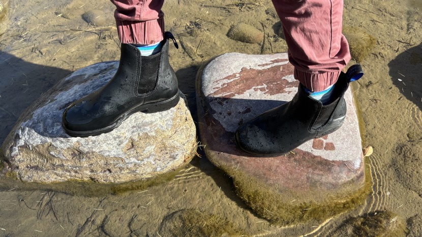 blundstone thermal chelsea for women - the thinsulate lining keeps your feet toasty warm, even while...