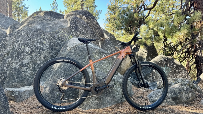 electric bike - the trailrush wins the "capability for the dollar" battle and would...