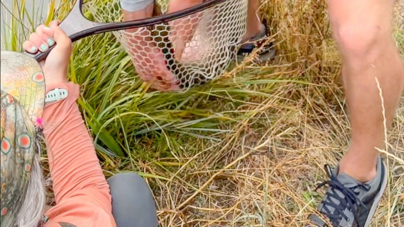 from dry-land dog walks to fly fishing, the brewers are truly the...