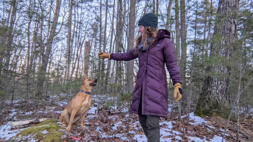 the patagonia down with it jacket features 600 fill down that...