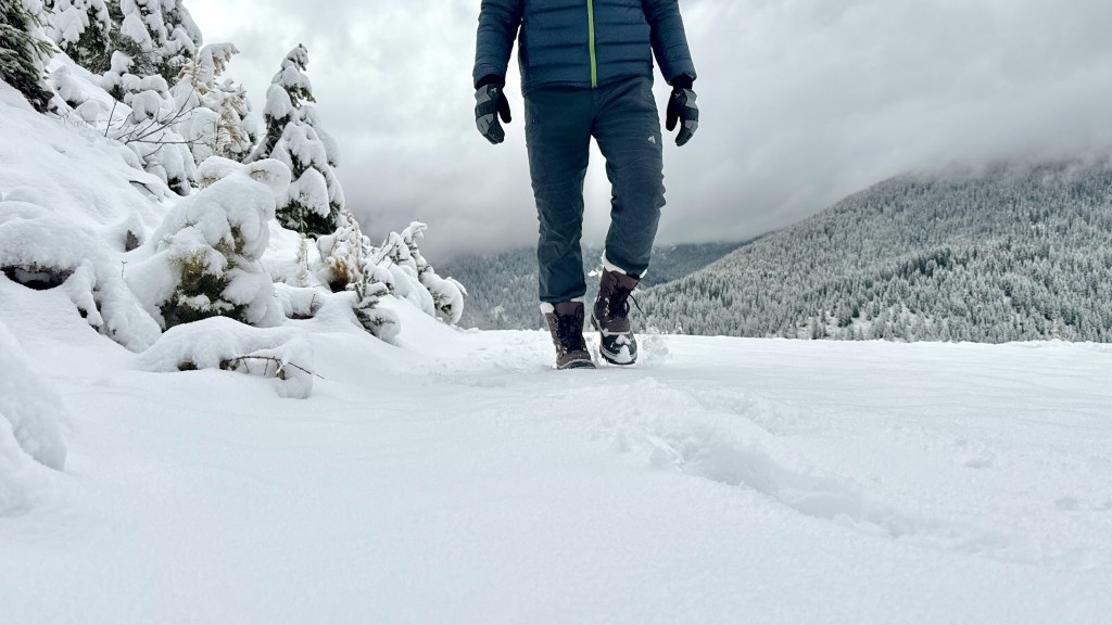 sorel caribou - as long as you're not trekking for miles, we still find the chunky...