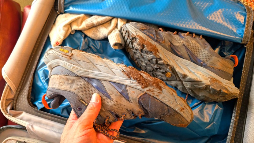 the gregory quadro pro 22" is a great blend of style and function...