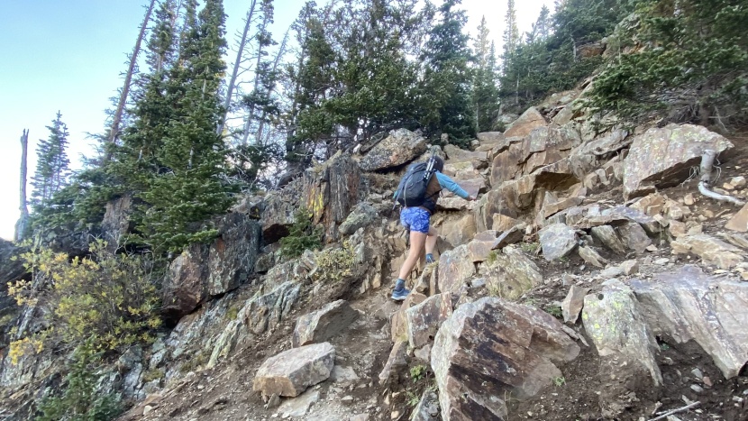 trail running shoes - choosing a shoe that can handle the terrain you put in front of it...