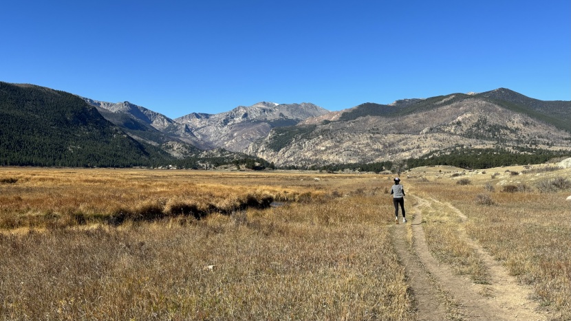 trail running shoes womens - we have been testing trail running shoes for many years, taking them...