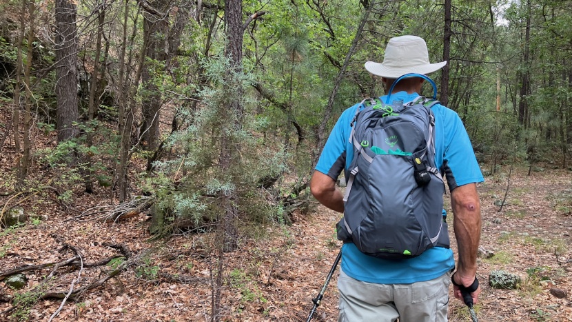 osprey sportlite 25 - whether you're looking for a pack for short hikes, long hikes, work...