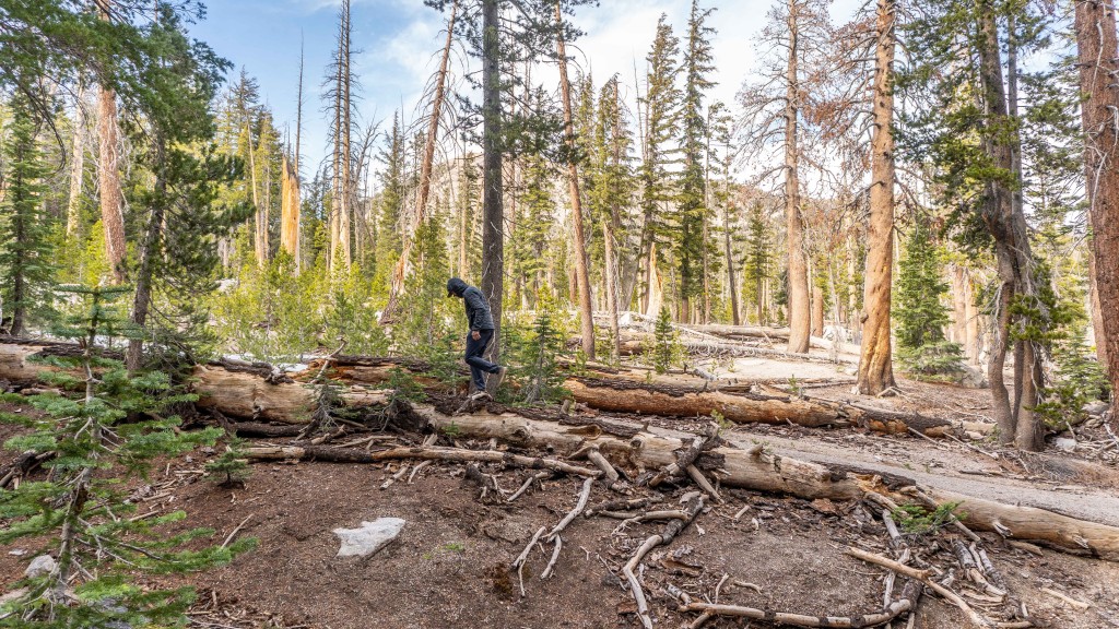 patagonia nano puff hoody - this is a layer that kept up with our testers in a variety of...