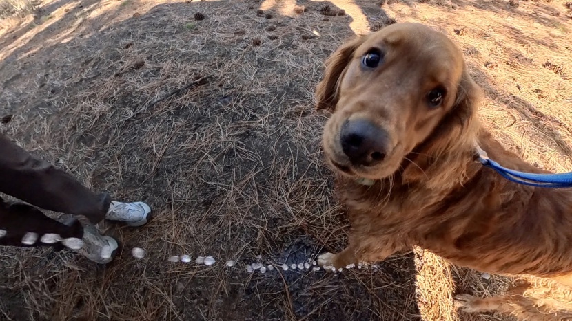 we assembled each unit, weathered cold showers, and used each of...