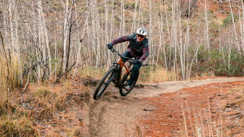 electric mountain bike - you don't need to spend a fortune to have fun; the ride1up trailrush...