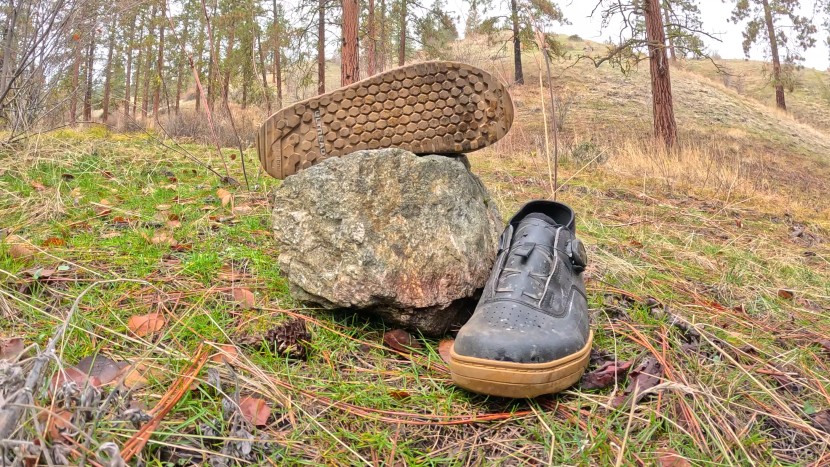 shimano gf800 - these shoes aren't quite as padded and cushioned as others. as a...