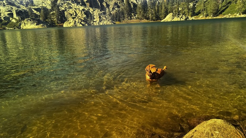 sunglasses mens - if you find yourself looking at lots of reflective surfaces, like...