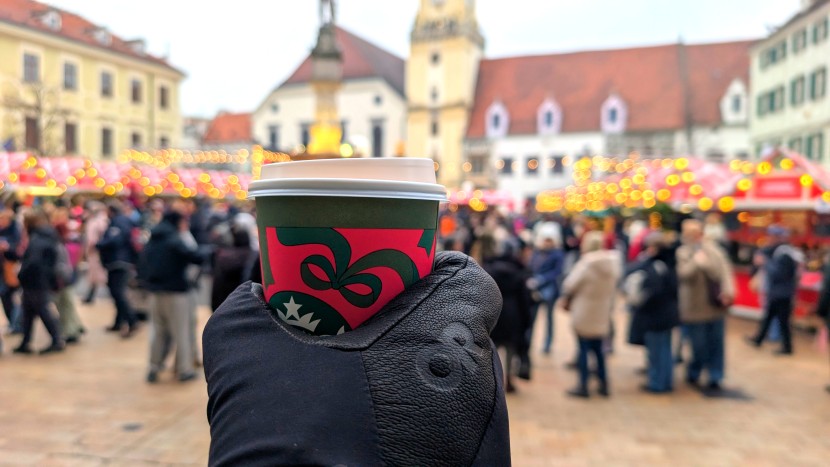 outdoor research sureshot pro - they were dense enough to keep our hands warm all day while walking...