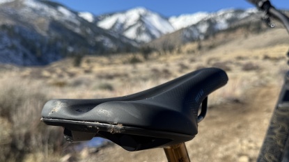 wtb volt fusion form titanium