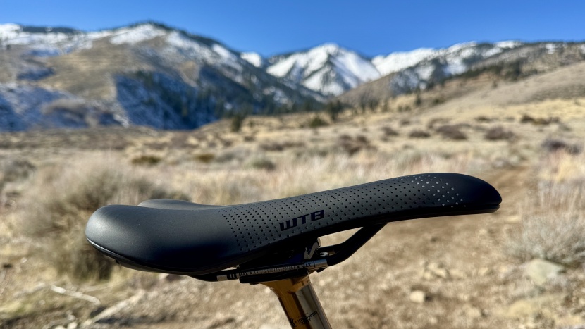 bike seat - the fusion form shell and titanium rails give our favorite mtb...