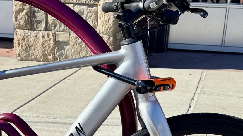 sometimes, the head tube is all you can fit in the lock.