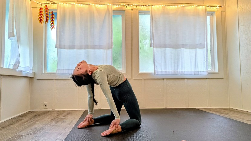 yoga pants - while the material feels soft and lightweight, the luxara 7/8 holds...