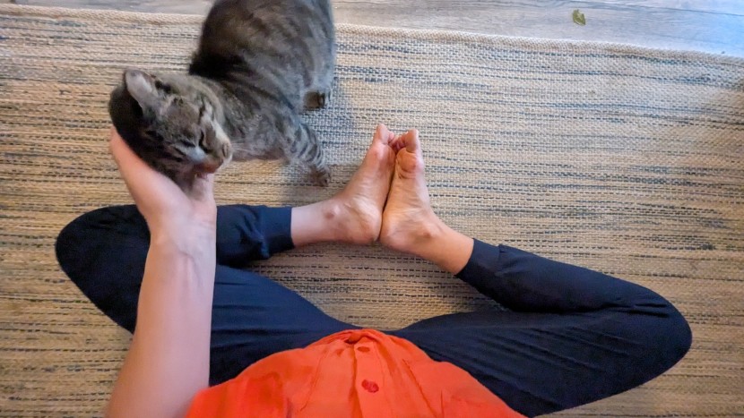 from deep floor stretches to acro yoga inversions to a dressed-up...