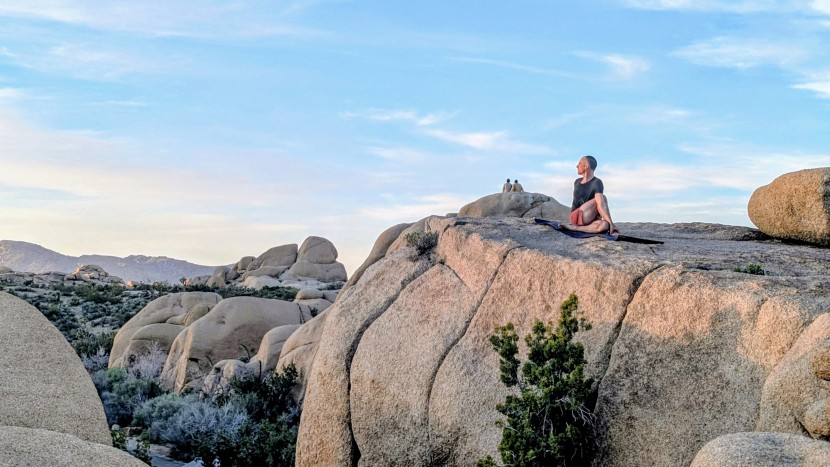 yoga mat - jade states that they plant a tree for every mat sold, which is part...