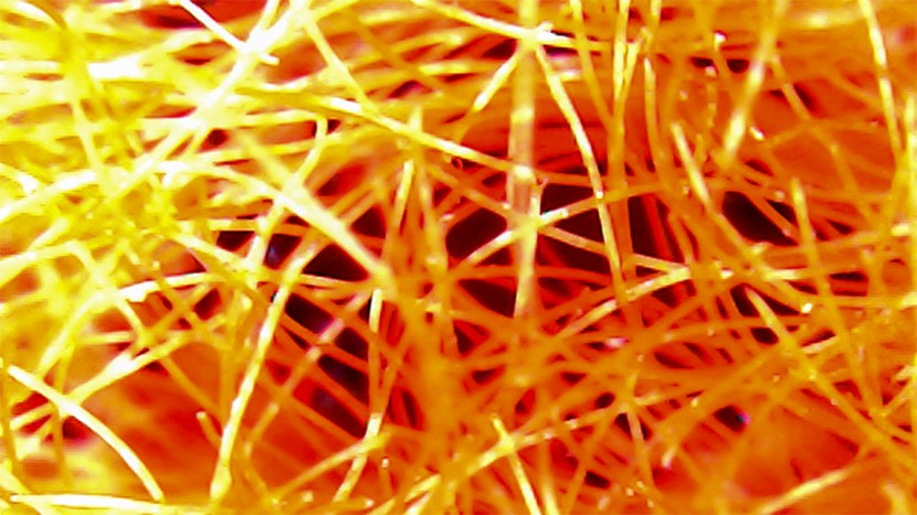 mountain hardwear airmesh - seen under the microscope, the airmesh's synthetic insulation's...