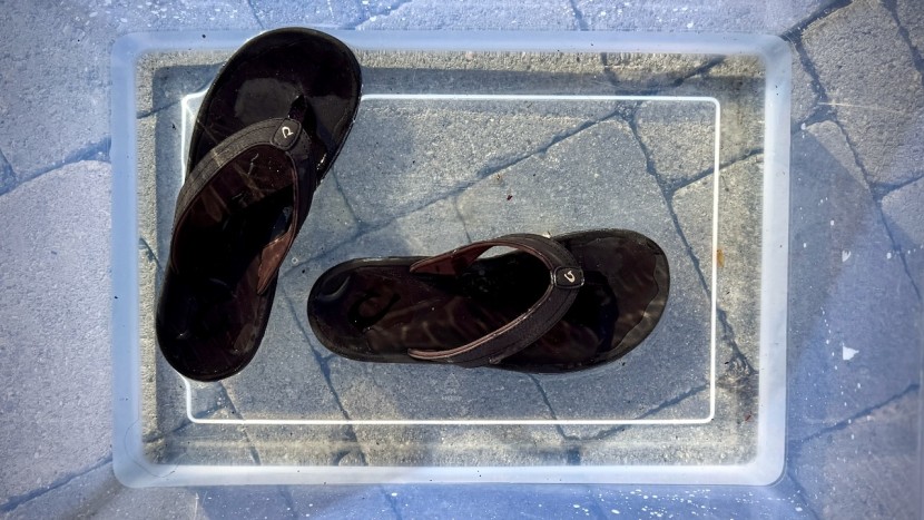 various flips for various adventures. everyone has their own...