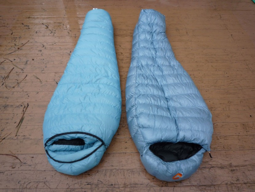 valandre shocking blue - the feathered friends snowbunting (at left) and valandre shocking...